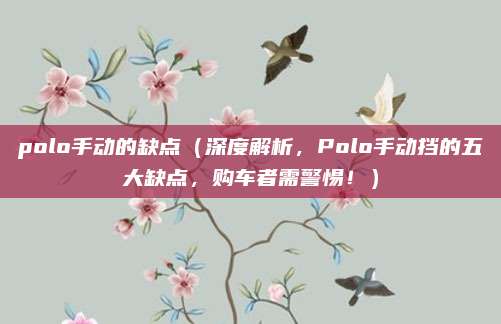 polo手动的缺点(深度解析,Polo手动挡的五大缺点,购车者需警惕!)