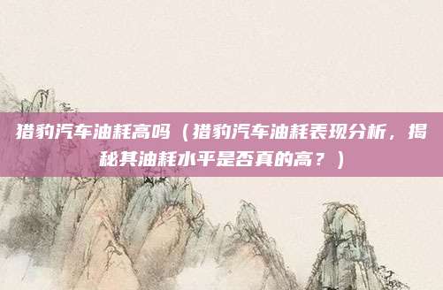 猎豹汽车油耗高吗（猎豹汽车油耗表现分析，揭秘其油耗水平是否真的高？）