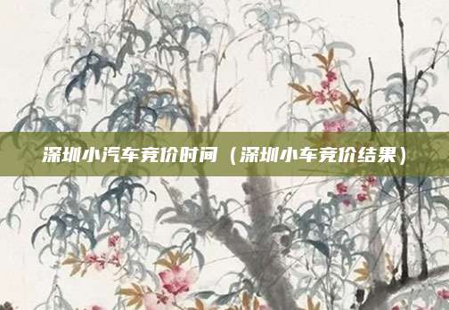 深圳小汽车竞价时间(深圳小车竞价结果)