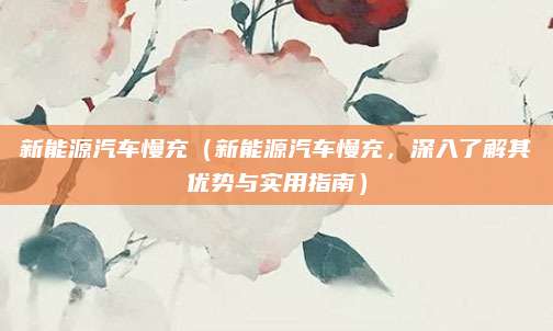 新能源汽车慢充(新能源汽车慢充,深入了解其优势与实用指南)