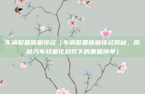 车辆整备质量排名(车辆整备质量排名揭秘,揭秘汽车轻量化趋势下的重量榜单)