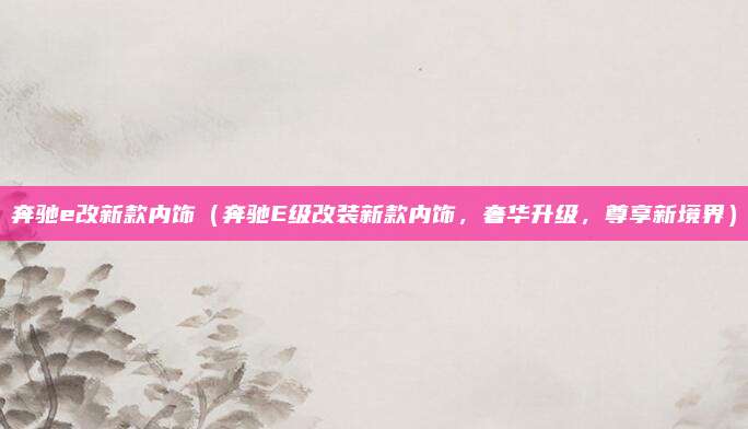 奔驰e改新款内饰（奔驰E级改装新款内饰，奢华升级，尊享新境界）