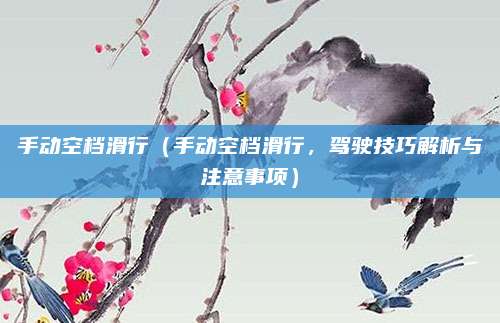 手动空档滑行(手动空档滑行,驾驶技巧解析与注意事项)