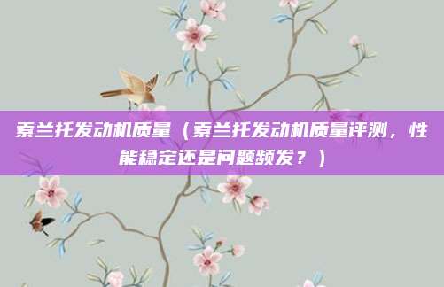 索兰托发动机质量(索兰托发动机质量评测,性能稳定还是问题频发?)