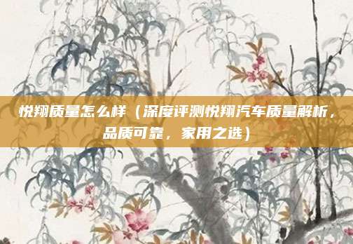 悦翔质量怎么样(深度评测悦翔汽车质量解析,品质可靠,家用之选)