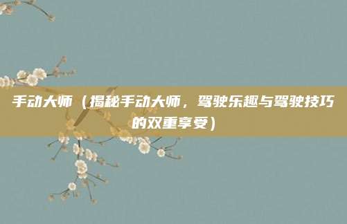 手动大师（揭秘手动大师，驾驶乐趣与驾驶技巧的双重享受）