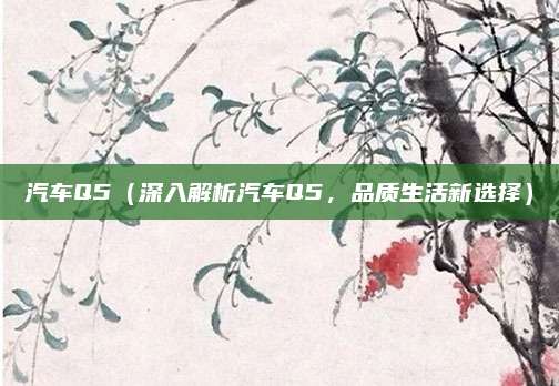汽车Q5(深入解析汽车Q5,品质生活新选择)