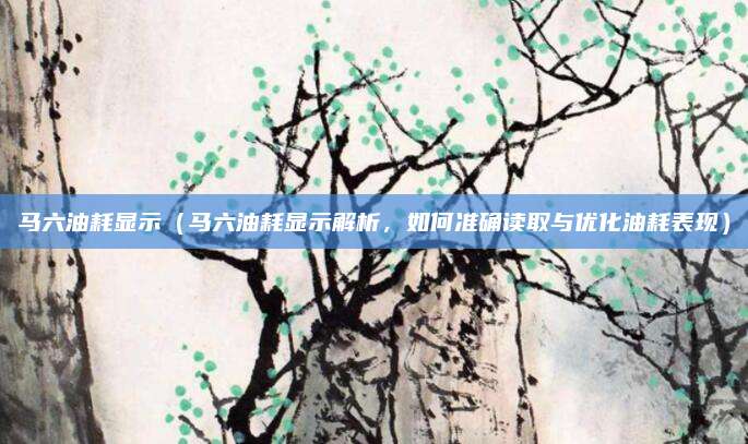 马六油耗显示（马六油耗显示解析，如何准确读取与优化油耗表现）