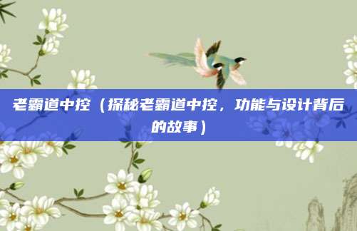 老霸道中控(探秘老霸道中控,功能与设计背后的故事)