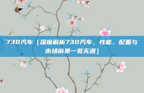 730汽车(深度解析730汽车,性能、配置与市场前景一览无遗)