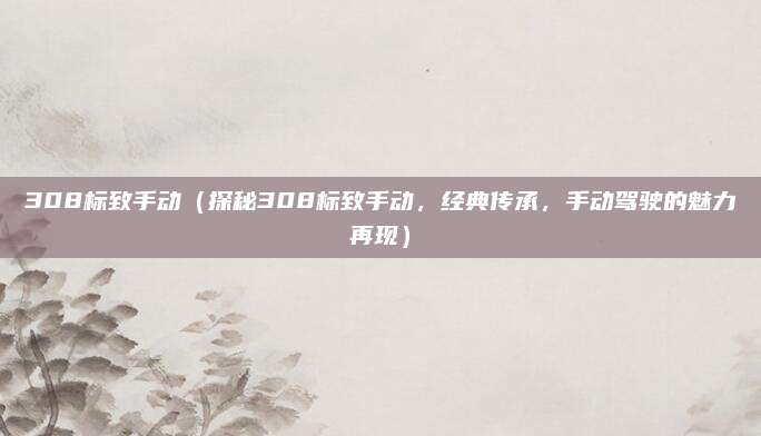 308标致手动(探秘308标致手动,经典传承,手动驾驶的魅力再现)