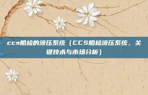 ccs船检的液压系统(CCS船检液压系统,关键技术与市场分析)