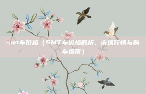 smt车价格(SMT车价格解析,市场行情与购车指南)