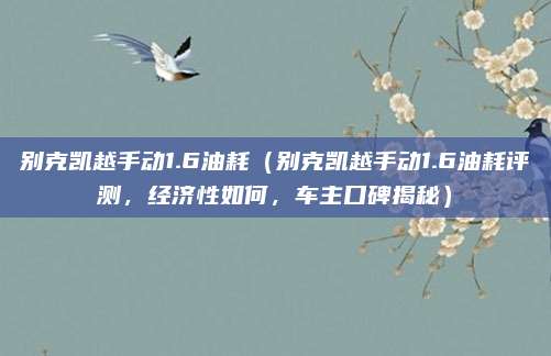别克凯越手动1.6油耗(别克凯越手动1.6油耗评测,经济性如何,车主口碑揭秘)