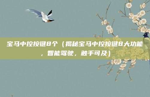 宝马中控按键8个（揭秘宝马中控按键8大功能，智能驾驶，触手可及）
