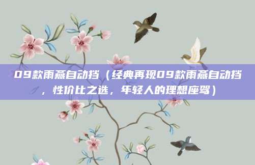 09款雨燕自动挡(经典再现09款雨燕自动挡,性价比之选,年轻人的理想座驾)