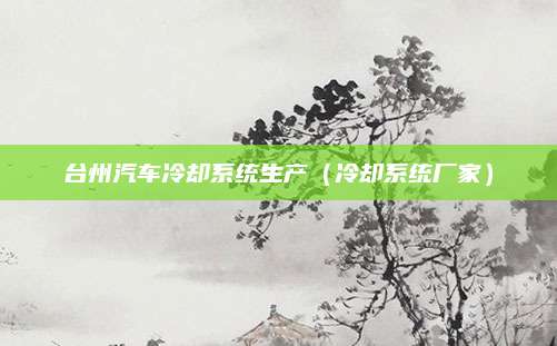 台州汽车冷却系统生产(冷却系统厂家)