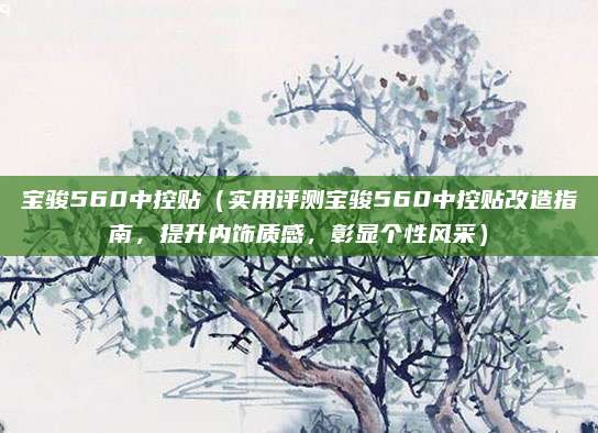 宝骏560中控贴(实用评测宝骏560中控贴改造指南,提升内饰质感,彰显个性风采)
