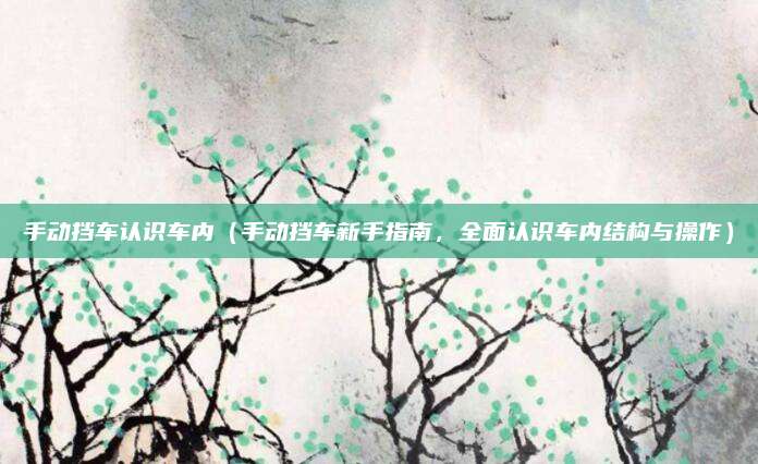 手动挡车认识车内（手动挡车新手指南，全面认识车内结构与操作）