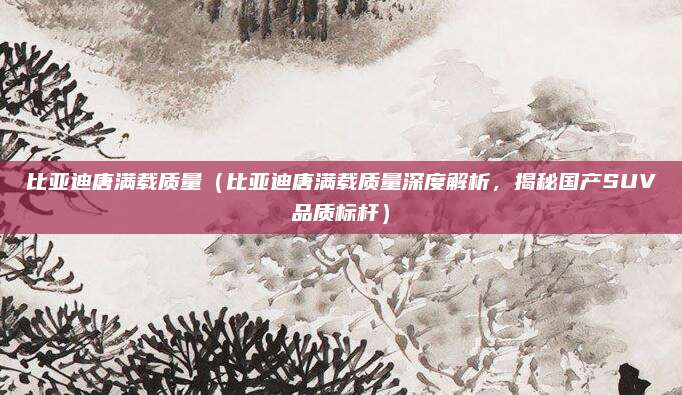 比亚迪唐满载质量(比亚迪唐满载质量深度解析,揭秘国产SUV品质标杆)