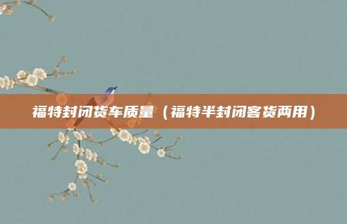 福特封闭货车质量(福特半封闭客货两用)