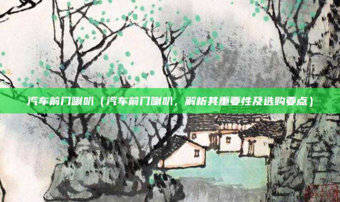 汽车前门喇叭(汽车前门喇叭,解析其重要性及选购要点)