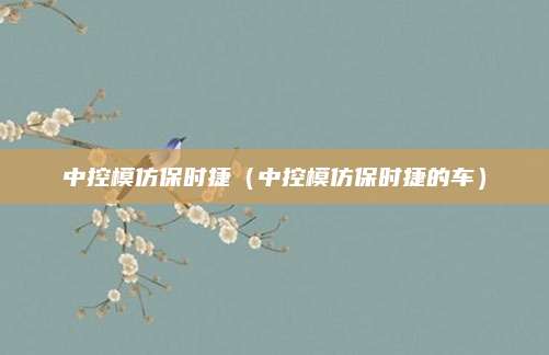 中控模仿保时捷(中控模仿保时捷的车)