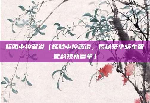 辉腾中控解说(辉腾中控解说,揭秘豪华轿车智能科技新篇章)