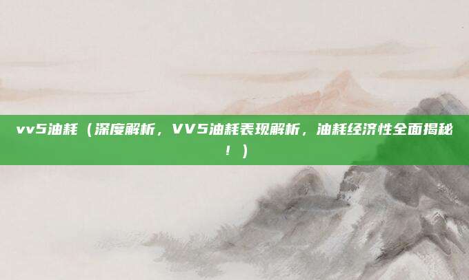 vv5油耗(深度解析,VV5油耗表现解析,油耗经济性全面揭秘!)