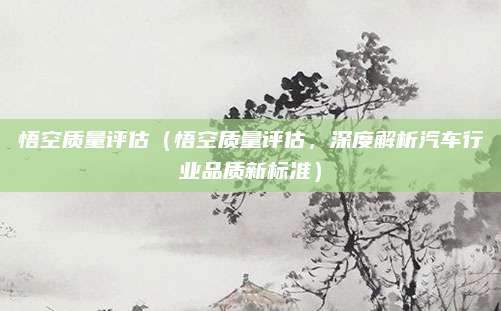 悟空质量评估(悟空质量评估,深度解析汽车行业品质新标准)
