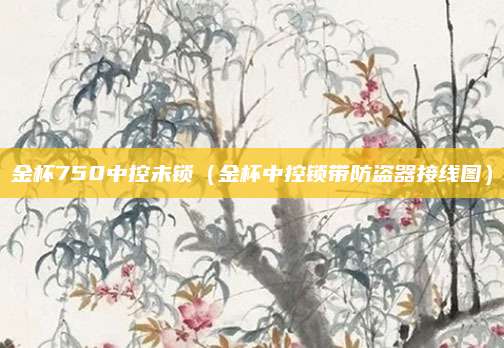 金杯750中控未锁（金杯中控锁带防盗器接线图）