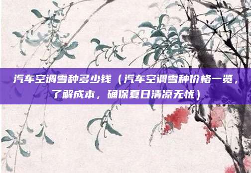 汽车空调雪种多少钱(汽车空调雪种价格一览,了解成本,确保夏日清凉无忧)