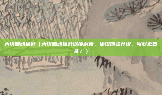 大切自动挡杆(大切自动挡杆深度解析,操控体验升级,驾驭更智能!)