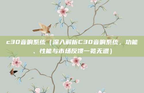 c30音响系统(深入解析C30音响系统,功能、性能与市场反馈一览无遗)