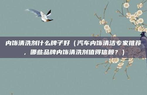 内饰清洗剂什么牌子好(汽车内饰清洁专家推荐,哪些品牌内饰清洗剂值得信赖?)
