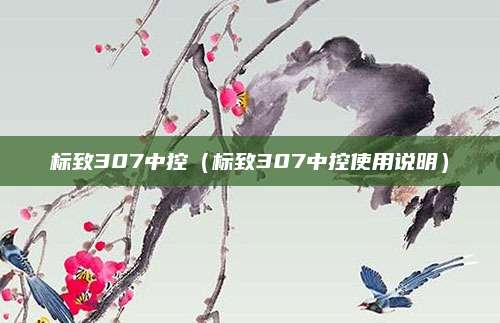 标致307中控（标致307中控使用说明）