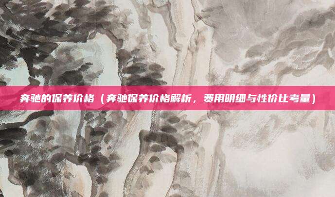 奔驰的保养价格（奔驰保养价格解析，费用明细与性价比考量）