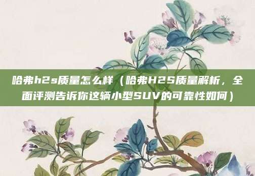 哈弗h2s质量怎么样（哈弗H2S质量解析，全面评测告诉你这辆小型SUV的可靠性如何）