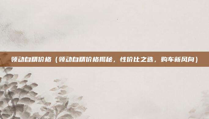 领动自精价格(领动自精价格揭秘,性价比之选,购车新风向)