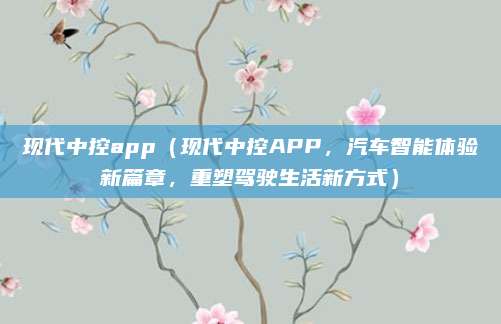 现代中控app(现代中控APP,汽车智能体验新篇章,重塑驾驶生活新方式)
