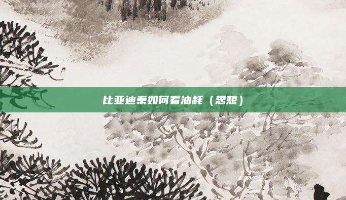 比亚迪秦如何看油耗(思想)