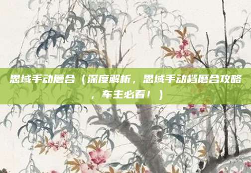 思域手动磨合(深度解析,思域手动档磨合攻略,车主必看!)