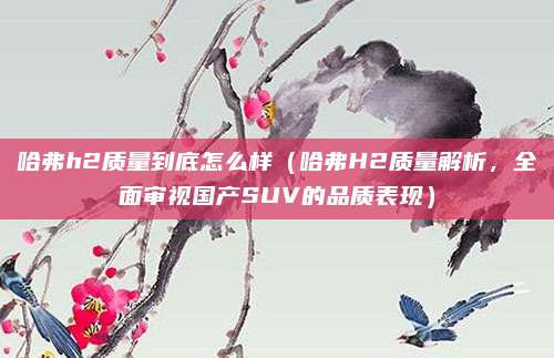 哈弗h2质量到底怎么样(哈弗H2质量解析,全面审视国产SUV的品质表现)