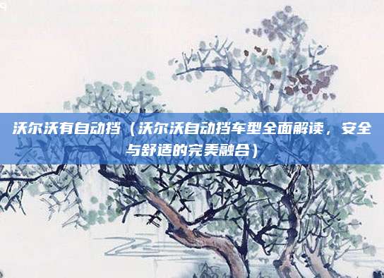 沃尔沃有自动挡(沃尔沃自动挡车型全面解读,安全与舒适的完美融合)