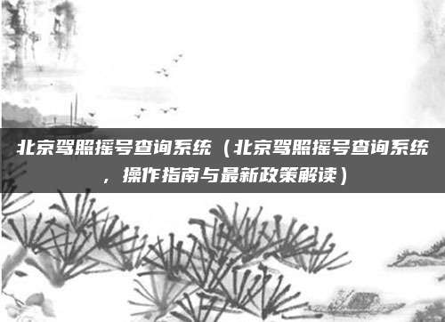 北京驾照摇号查询系统(北京驾照摇号查询系统,操作指南与最新政策解读)