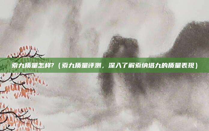 索九质量怎样?(索九质量评测,深入了解索纳塔九的质量表现)