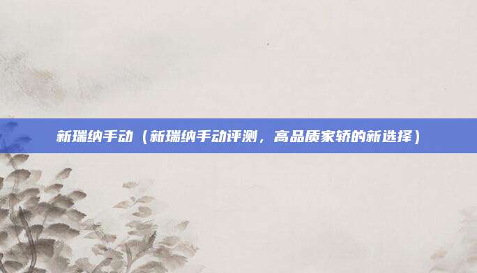 新瑞纳手动(新瑞纳手动评测,高品质家轿的新选择)