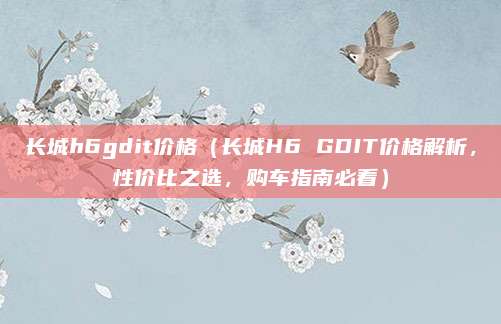 长城h6gdit价格(长城H6 GDIT价格解析,性价比之选,购车指南必看)