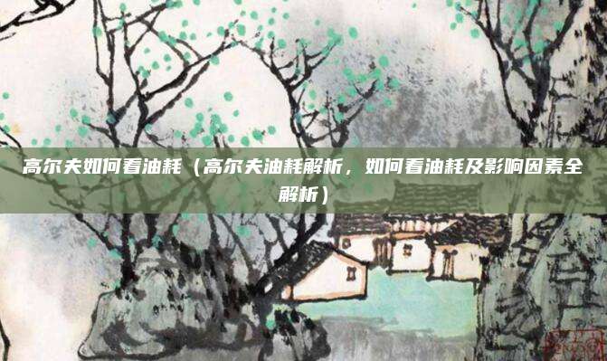 高尔夫如何看油耗(高尔夫油耗解析,如何看油耗及影响因素全解析)