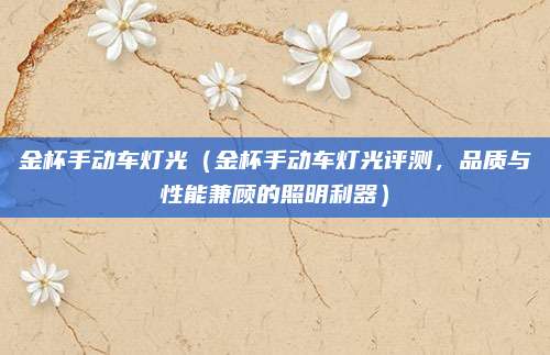 金杯手动车灯光(金杯手动车灯光评测,品质与性能兼顾的照明利器)